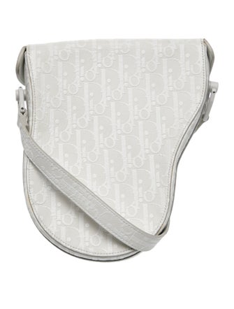Christian Dior Canvas Saddle