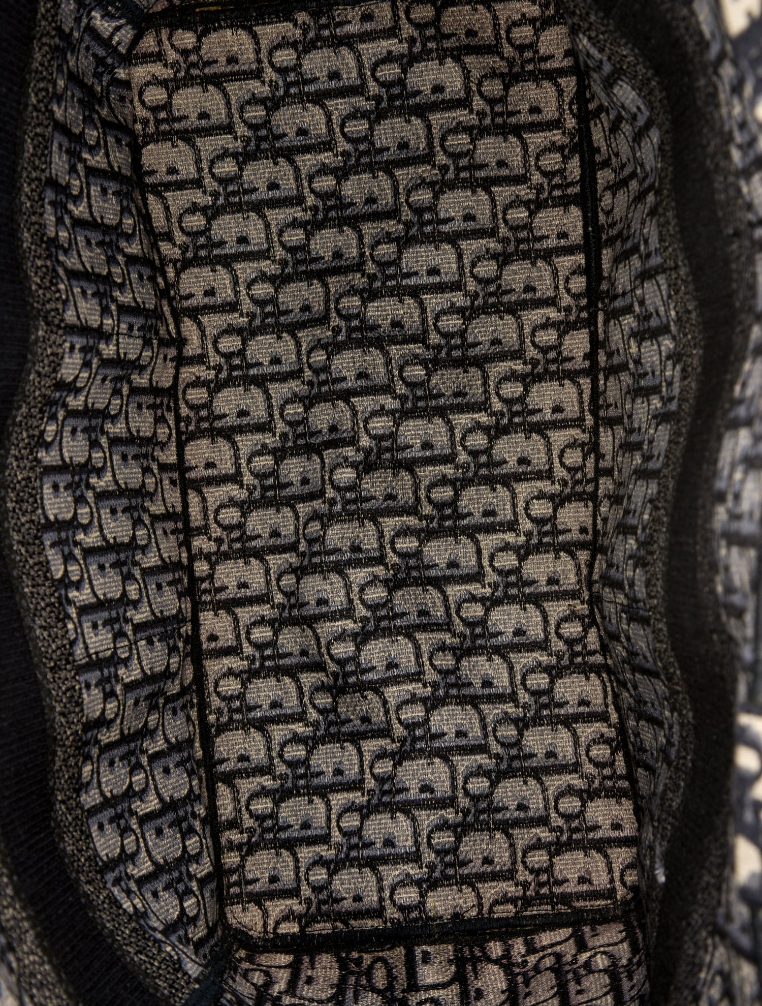 Christian Dior Canvas Catherine Tote