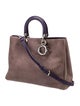 Christian Dior Nubuck Diorissimo Large 2022