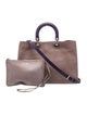 Christian Dior Nubuck Diorissimo Large 2022