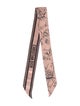 Christian Dior Silk Printed Scarf