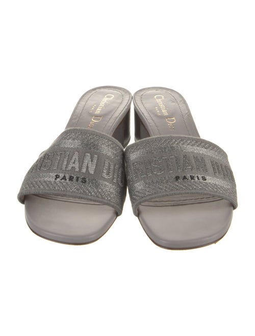 Christian Dior Canvas Slides