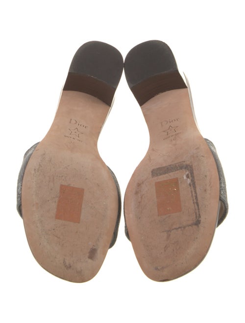 Christian Dior Canvas Slides