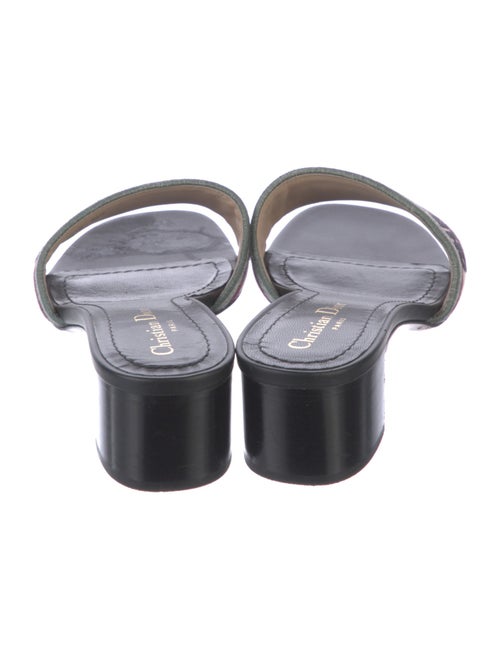 Christian Dior Leather Graphic Print Slides