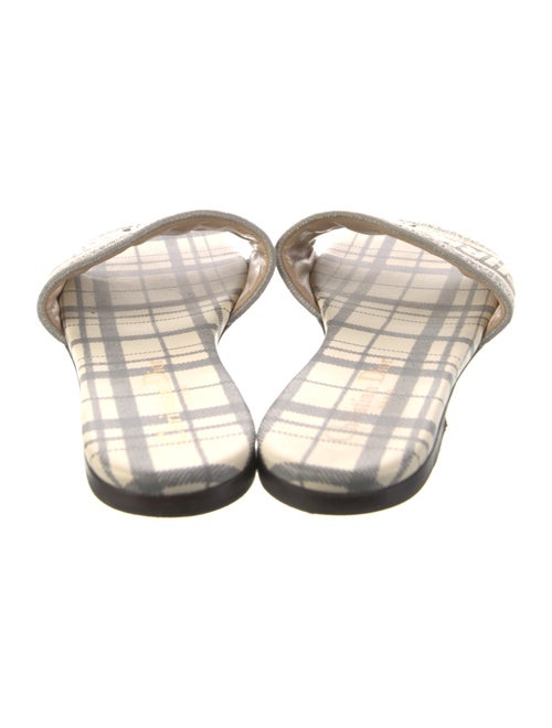 Christian Dior Graphic Print Embroidered Accent Slides