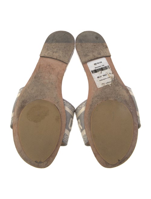 Christian Dior Graphic Print Embroidered Accent Slides