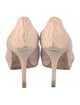 Christian Dior Python Animal Print Pumps