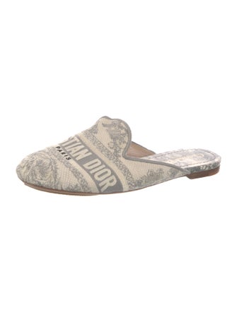 Christian Dior Canvas Printed Mules
