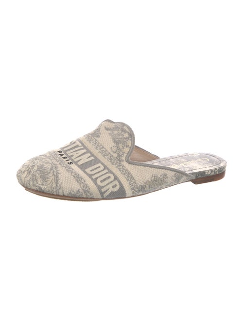 Christian Dior Canvas Printed Mules