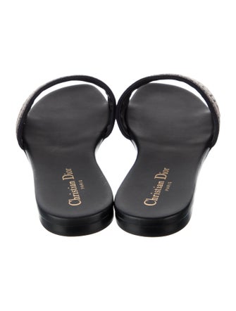 Christian Dior Canvas Printed Flats