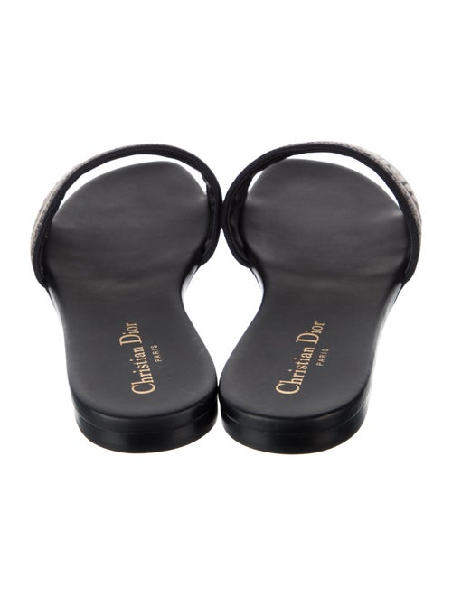 Christian Dior Canvas Printed Flats