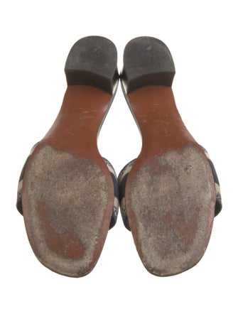 Christian Dior Canvas Printed Slides