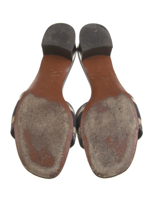 Christian Dior Canvas Printed Slides