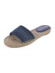 Christian Dior Canvas Embroidered Accent Espadrilles