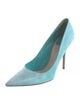 Christian Dior Suede Pumps