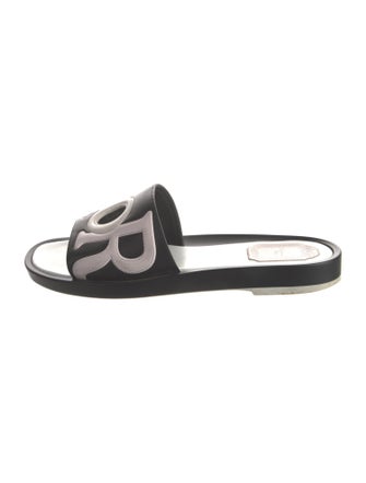 Christian Dior Leather Printed Slides