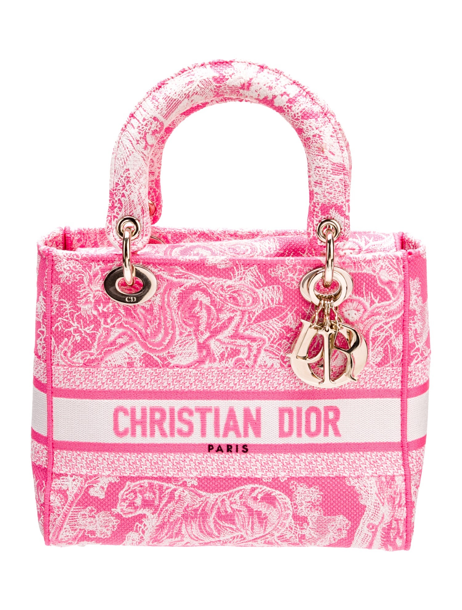 Christian Dior Canvas D-Lite