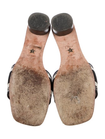 Christian Dior Flora Print Embroidered Accent Slides