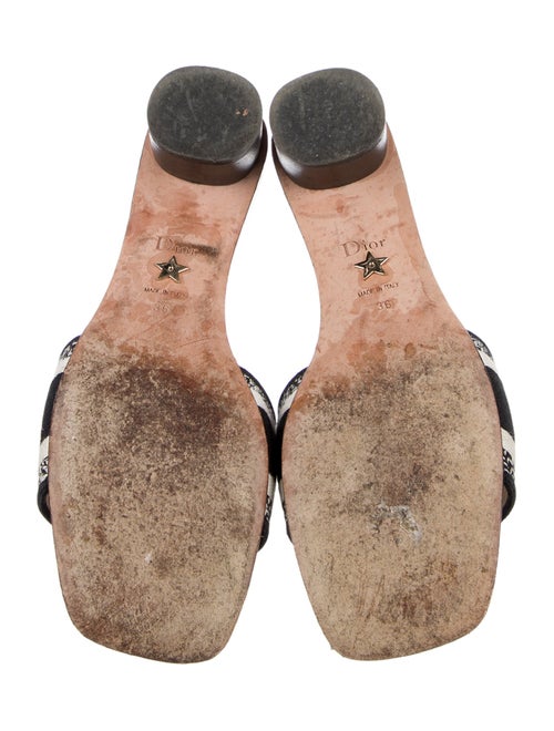 Christian Dior Flora Print Embroidered Accent Slides