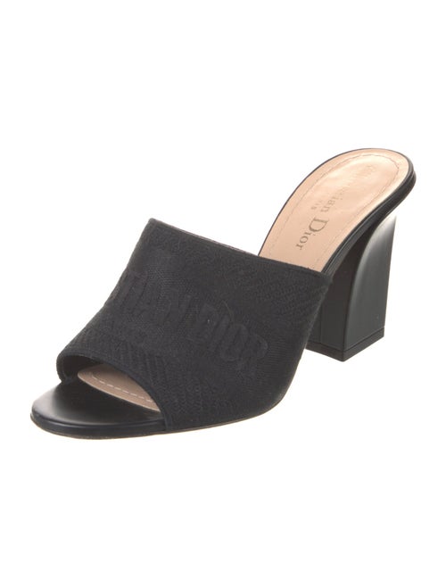 Christian Dior Embroidered Accent Slides