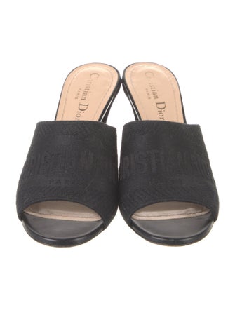 Christian Dior Embroidered Accent Slides