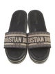 Christian Dior Dway Printed Slides