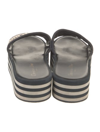 Christian Dior Dway Printed Slides
