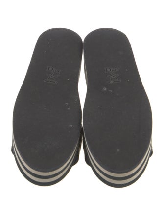 Christian Dior Dway Printed Slides