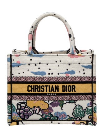 Christian Dior Canvas Book Small 2022