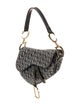 Christian Dior Canvas Double Saddle