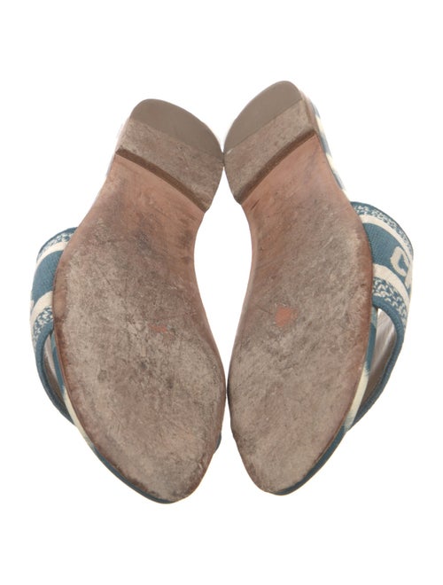 Christian Dior Printed Slides