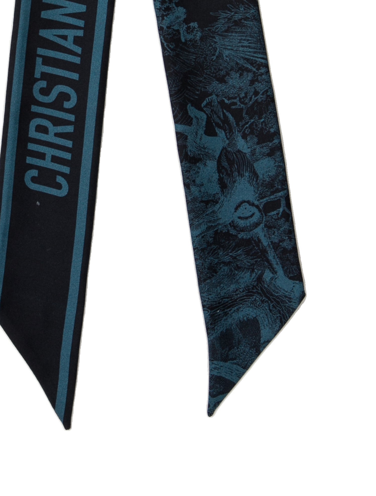 Christian Dior Silk Printed Scarf