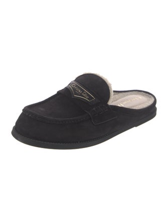 Christian Dior Suede Mules