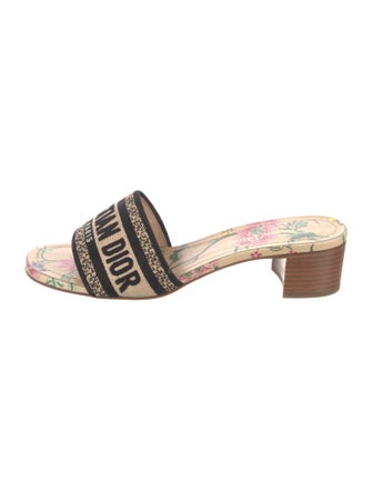 Christian Dior Canvas Printed Slides
