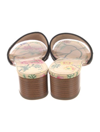 Christian Dior Canvas Printed Slides