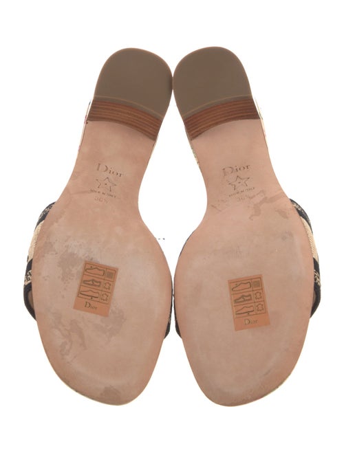 Christian Dior Canvas Printed Slides