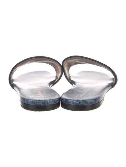 Christian Dior Canvas Printed Slides