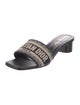 Christian Dior Leather Printed Slides