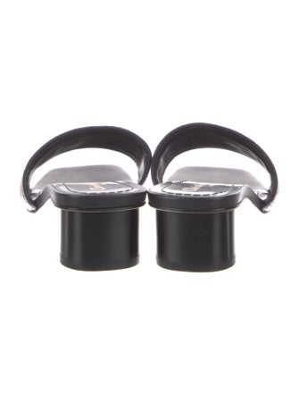 Christian Dior Leather Printed Slides