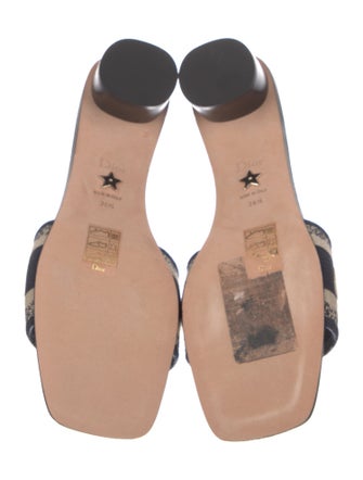 Christian Dior Leather Printed Slides