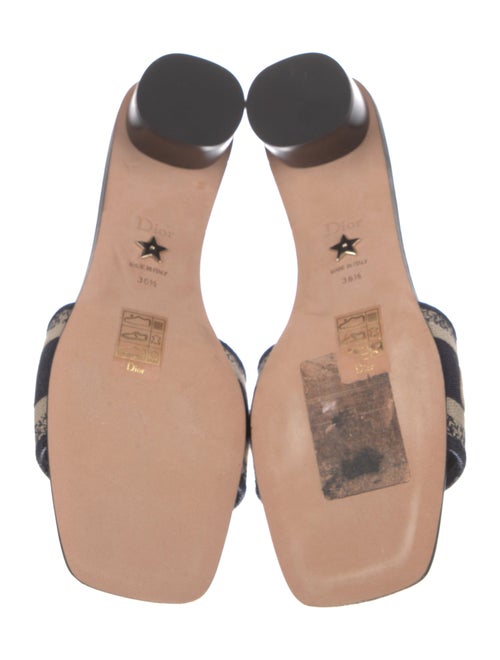 Christian Dior Leather Printed Slides