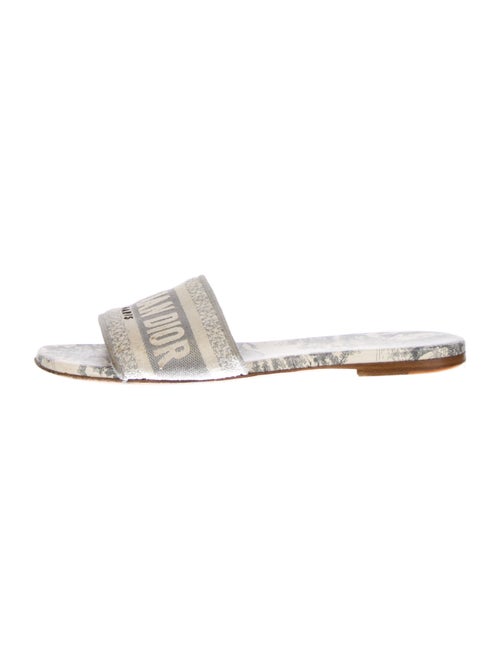 Christian Dior Canvas Printed Slides