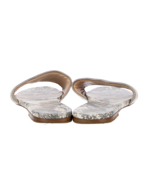 Christian Dior Canvas Printed Slides