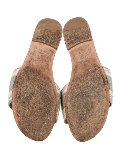 Christian Dior Canvas Printed Slides