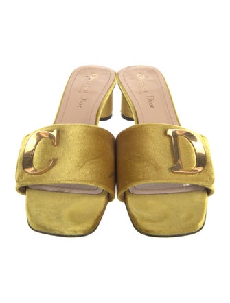 Christian Dior Velvet Slides