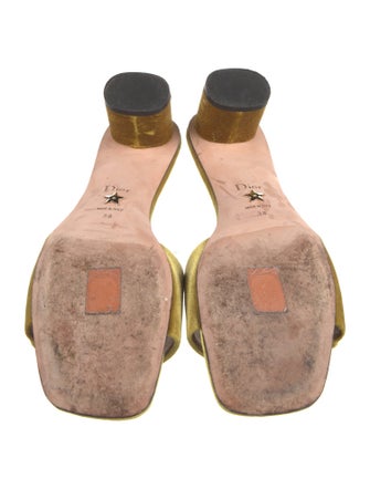 Christian Dior Velvet Slides