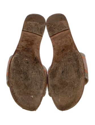 Christian Dior Canvas Printed Slides