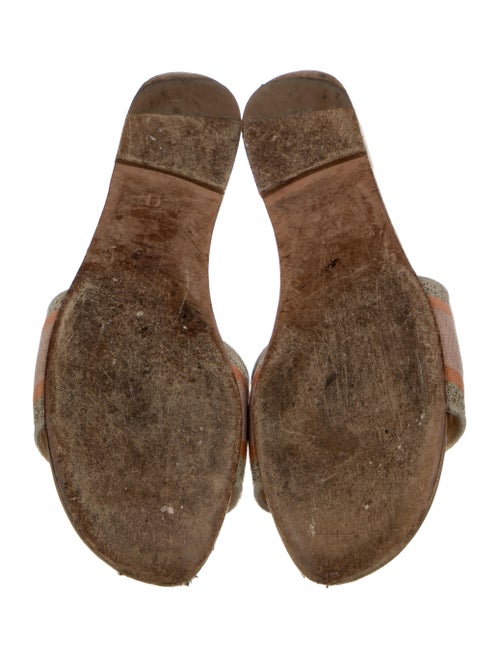 Christian Dior Canvas Printed Slides