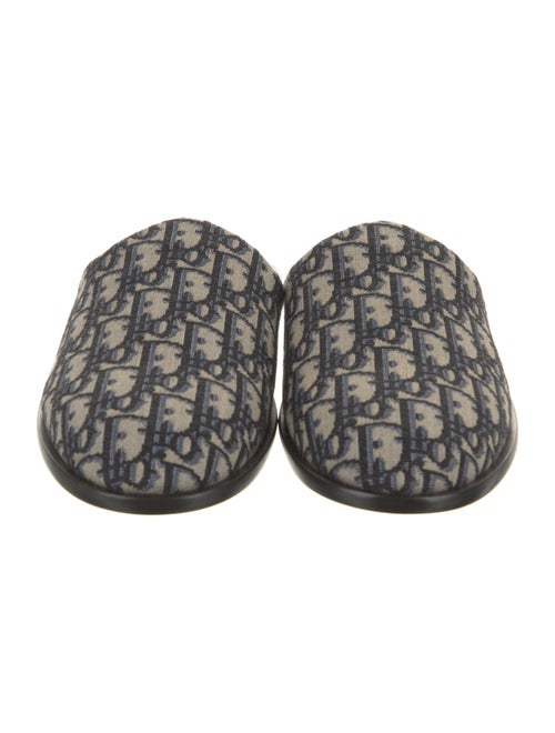 Christian Dior Canvas Printed Slides