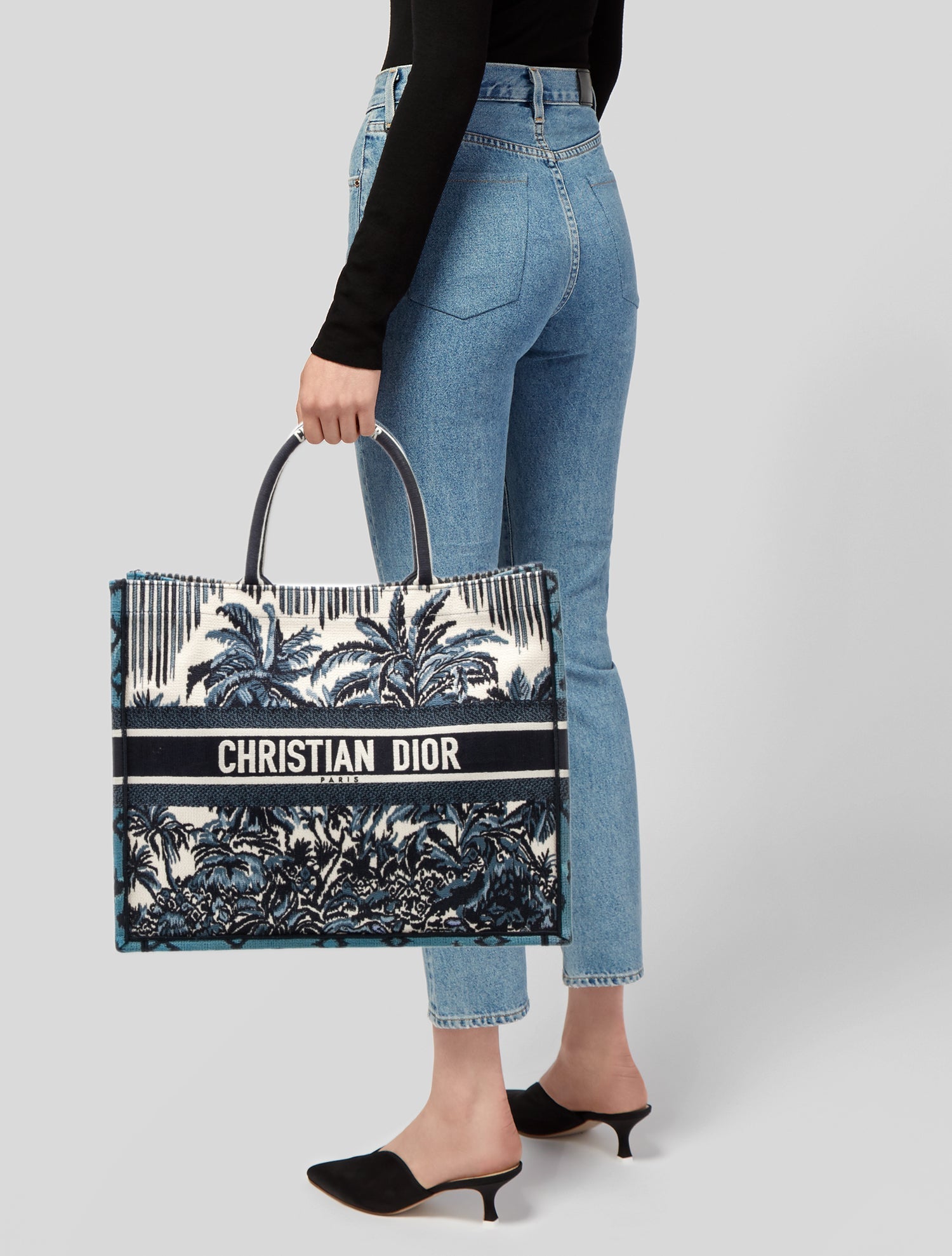 Christian Dior Canvas Book